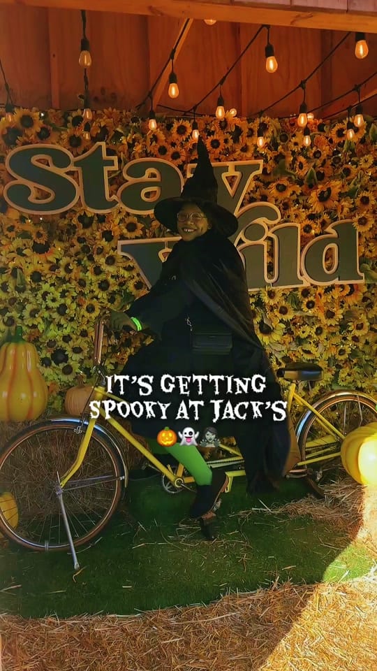 Post 7 by Jack’s Pumpkin Pop-Up on TikTok (video)