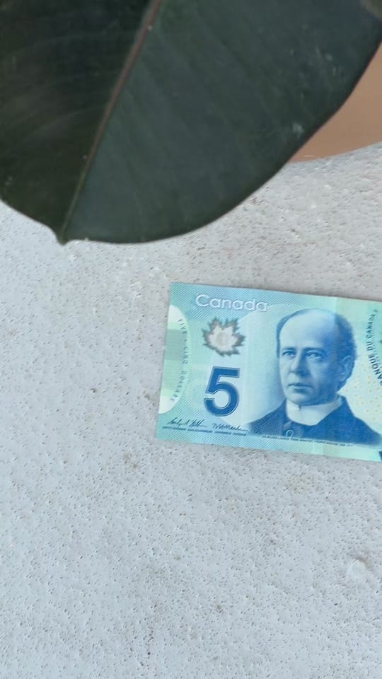 Post 10 by 🇨🇦 Trevor Gordon 🇨🇦 on TikTok (video)