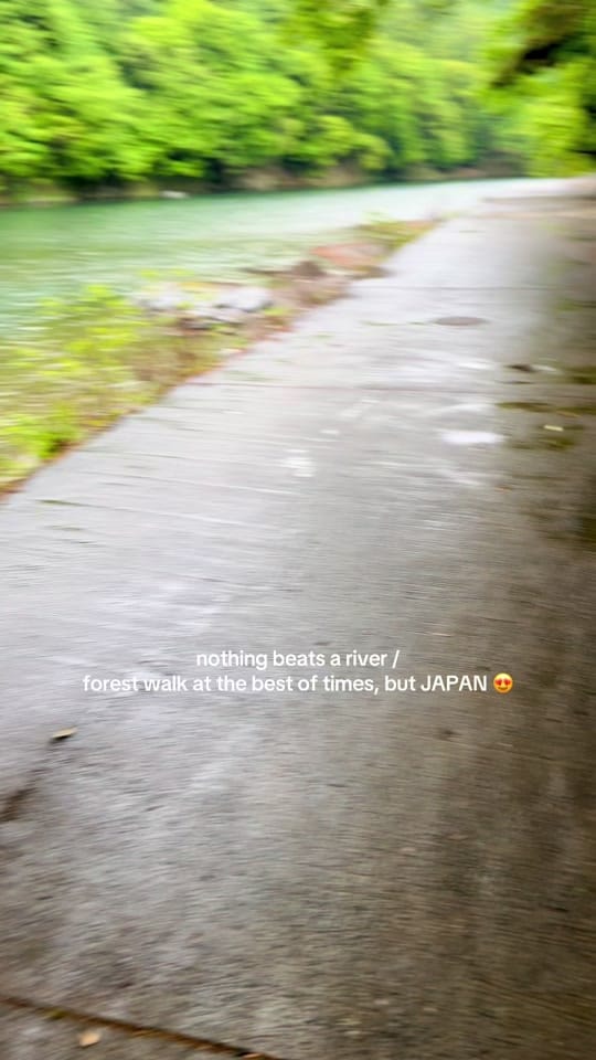 Post 2 by Craig | Scottish Nonsense 🏔️ on TikTok (video)