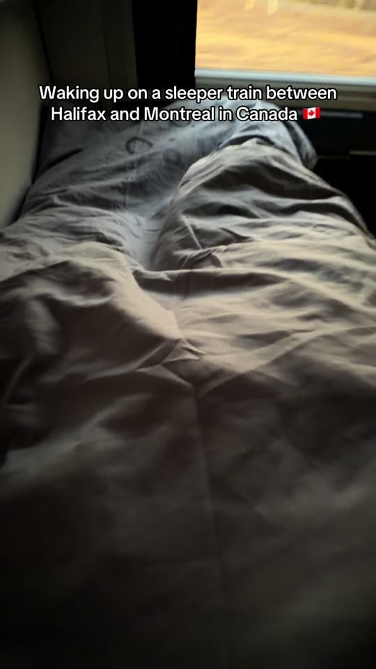 Post 4 by Sebastian on TikTok (video)