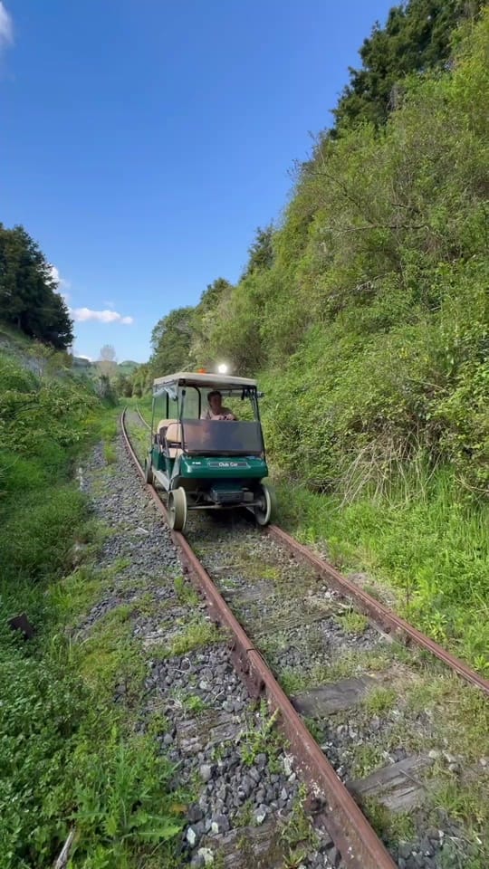 Post 5 by Sebastian on TikTok (video)