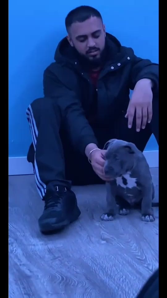 Post 8 by ace_cuts on TikTok (video)