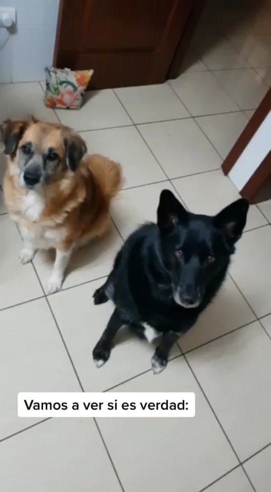 Post 10 by M I G U E L   🚀 on TikTok (video)