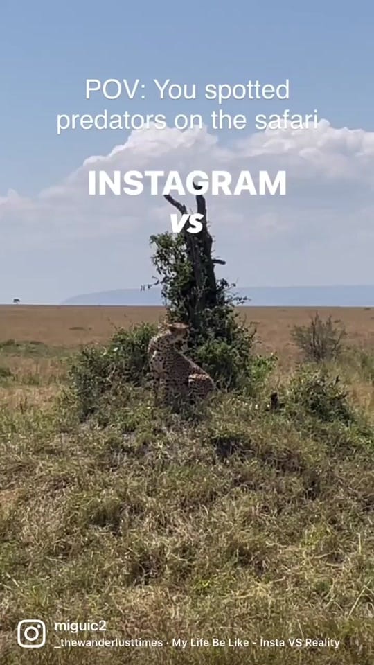 Post 3 by M I G U E L   🚀 on TikTok (video)