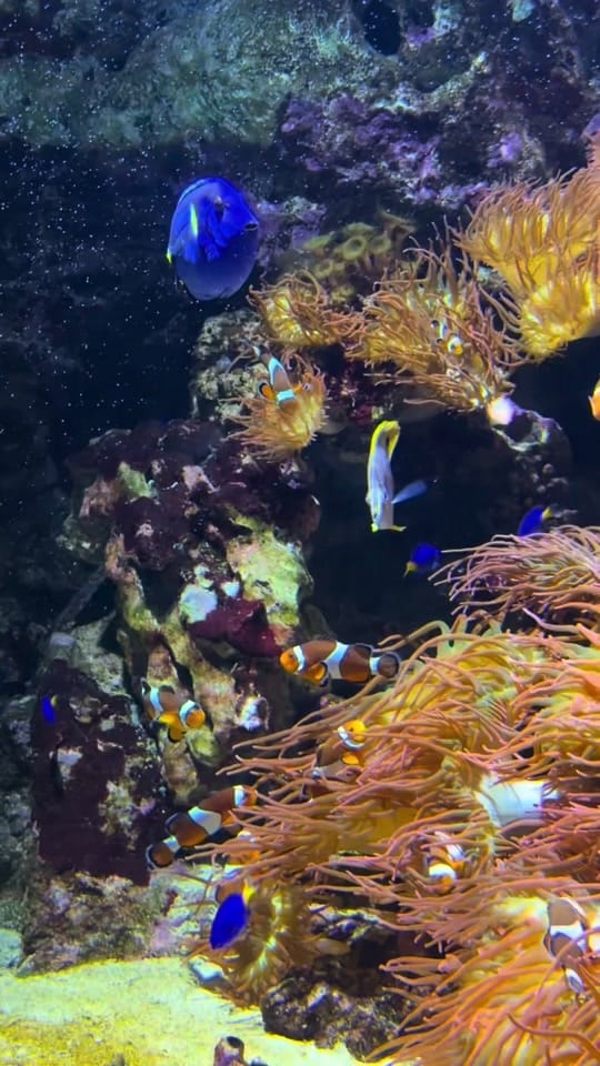 Post 10 by Trudy Leung on TikTok (video)