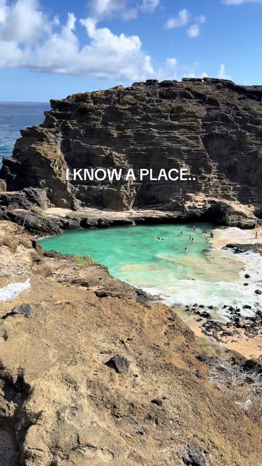 Post 8 by JESSICA SARA MORRIS on TikTok (video)