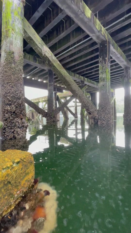 Post 9 by Ian Harland on TikTok (video)