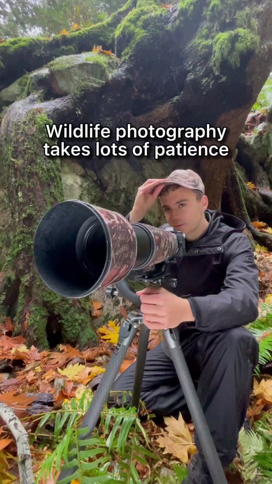 Post 8 by Ian Harland on TikTok (video)