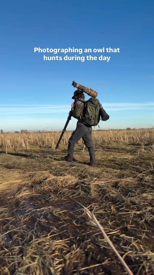 Post 6 by Ian Harland on TikTok (video)