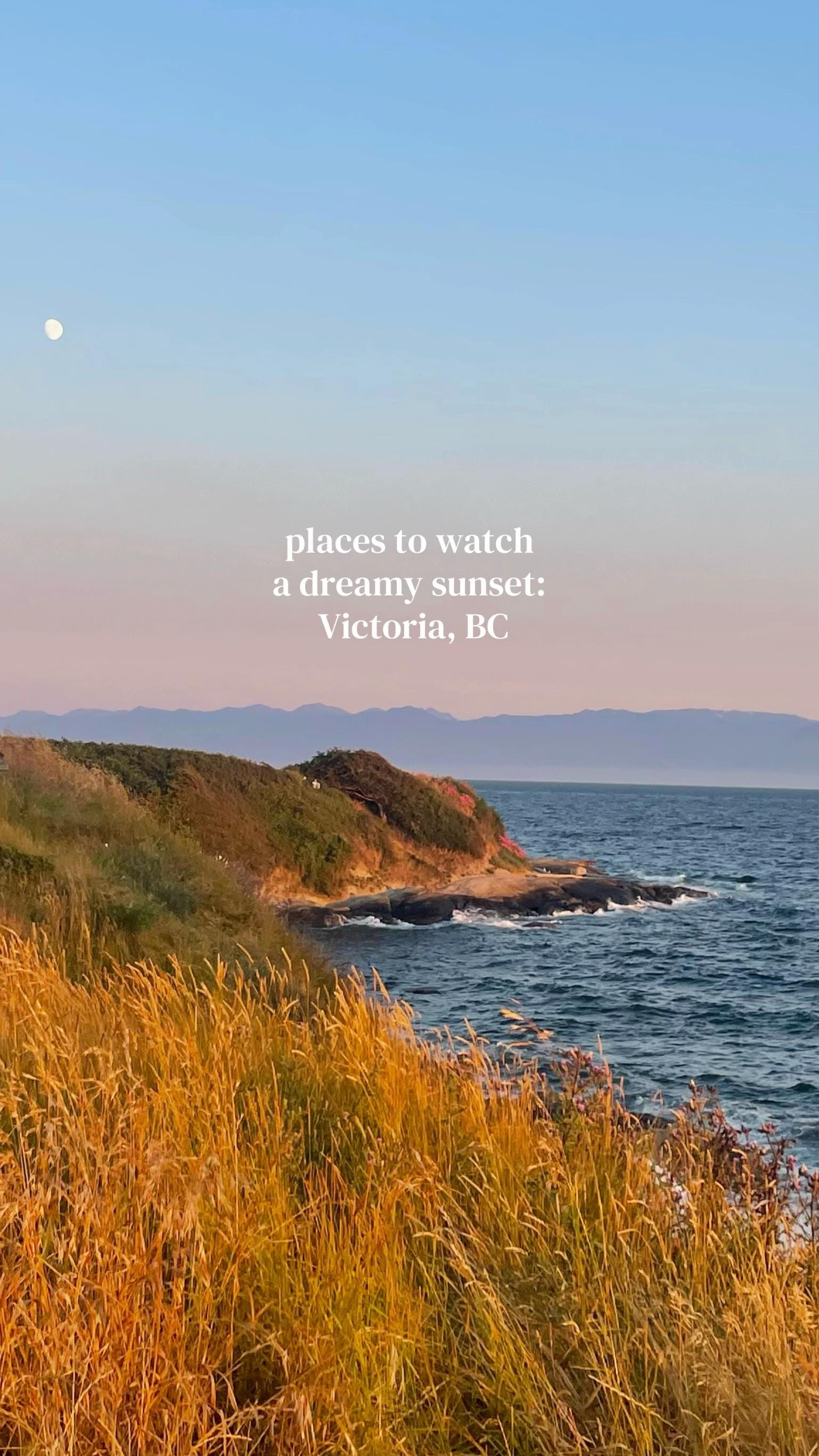 Post 8 by rachelschl on TikTok (video)