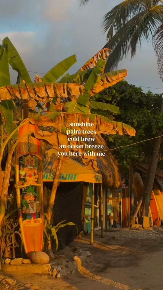 Post 4 by rachelschl on TikTok (video)