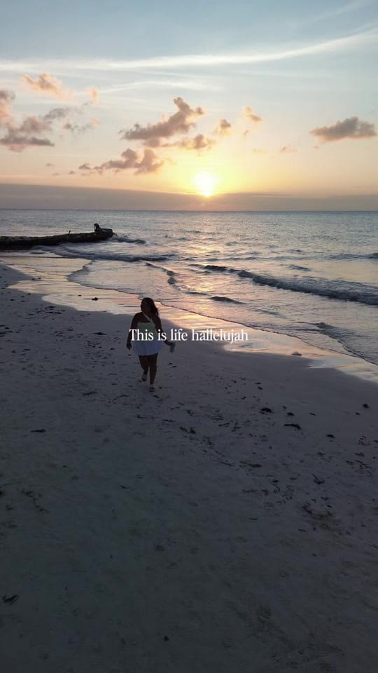 Post 3 by Marie-Ève Charest on TikTok (video)