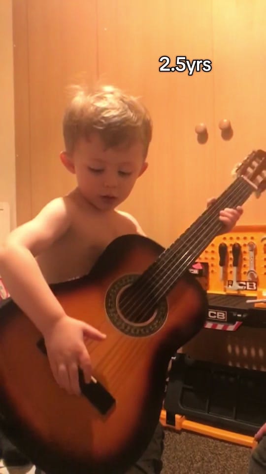 Post 7 by Rex🐈 Freddie🐈‍⬛Milo 🐈‍⬛ on TikTok (video)