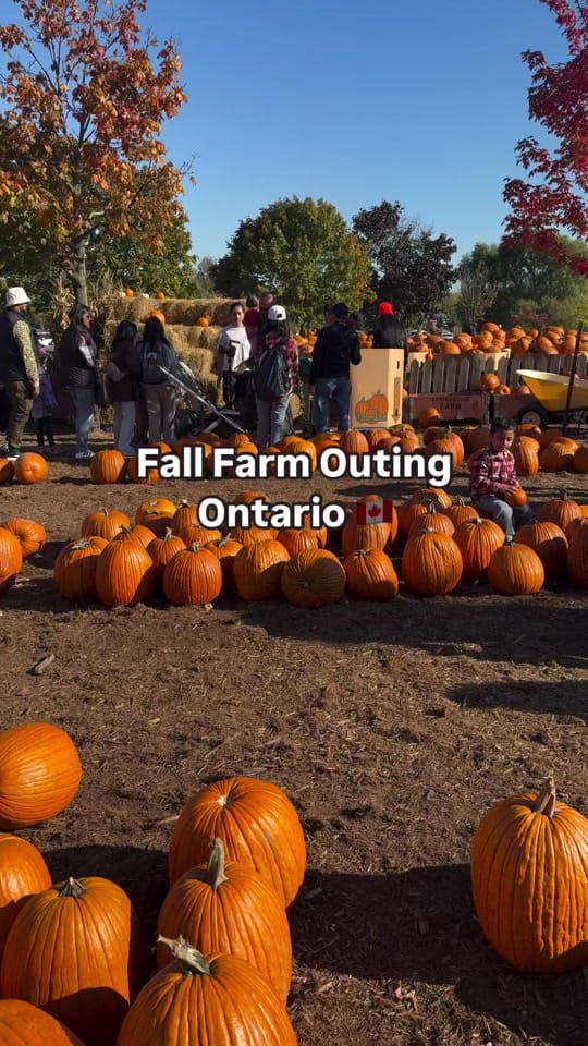 Post 4 by waddupcanada11 on TikTok (video)