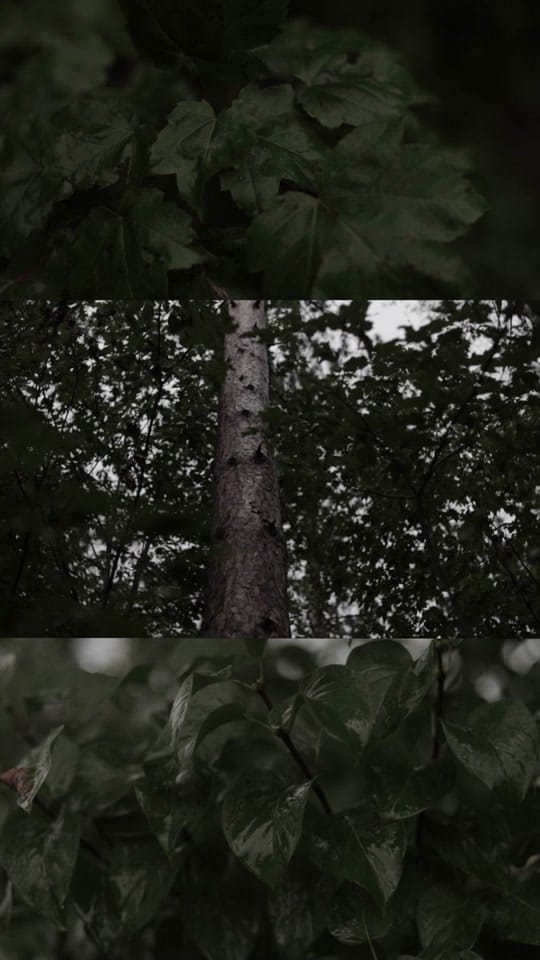 Post 9 by Go Creative Dude on TikTok (video)