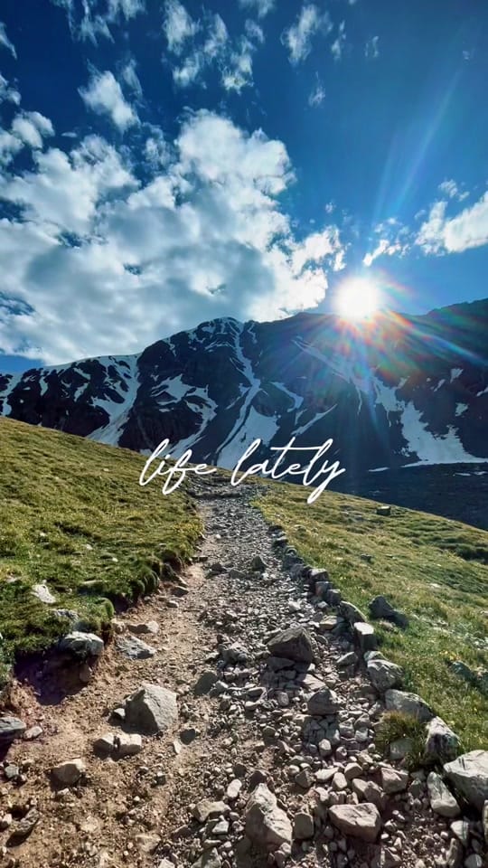 Post 7 by countryjessee & winnieroo on TikTok (video)