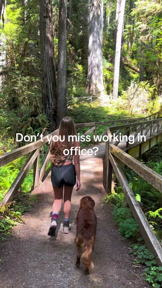 Post 2 by countryjessee & winnieroo on TikTok (video)