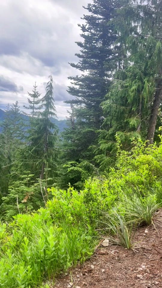 Post 10 by countryjessee & winnieroo on TikTok (video)