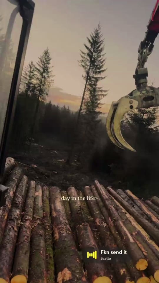 Post 4 by Jake Bajai on TikTok (video)