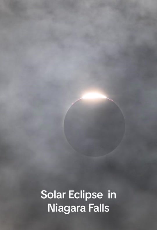 Post 9 by Michael Gallo on TikTok (video)
