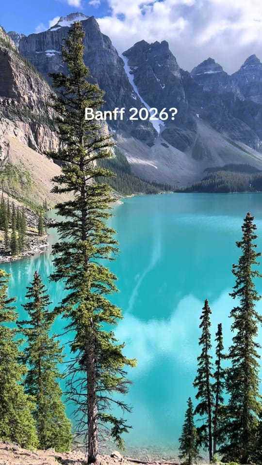 Post 3 by Michael Gallo on TikTok (video)