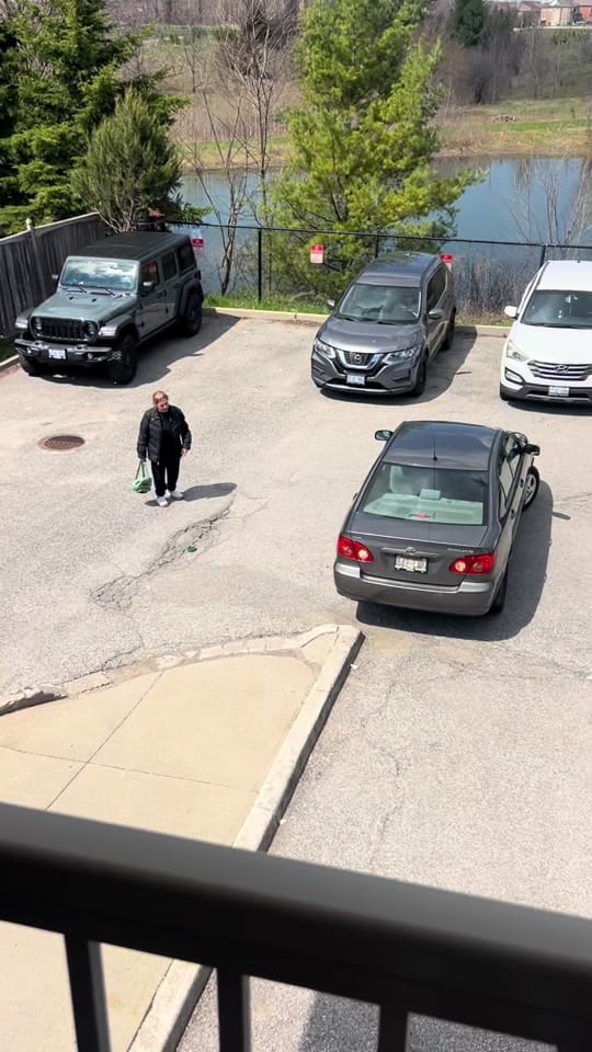 Post 2 by Michael Gallo on TikTok (video)