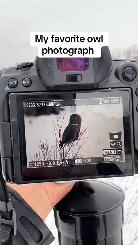 Post 6 by Michael Gallo on TikTok (video)