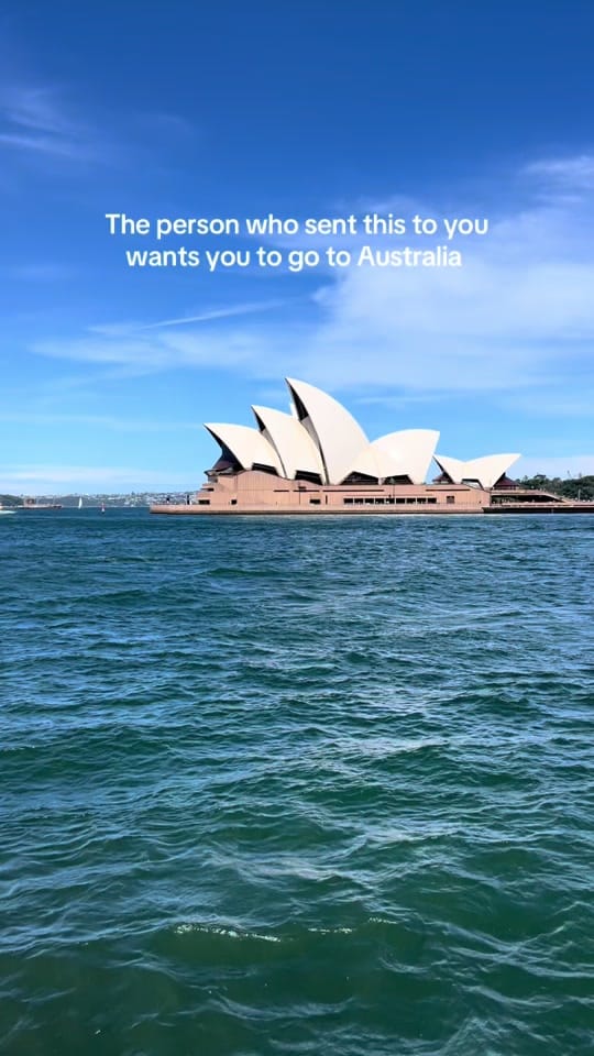 Post 5 by Michael Gallo on TikTok (video)
