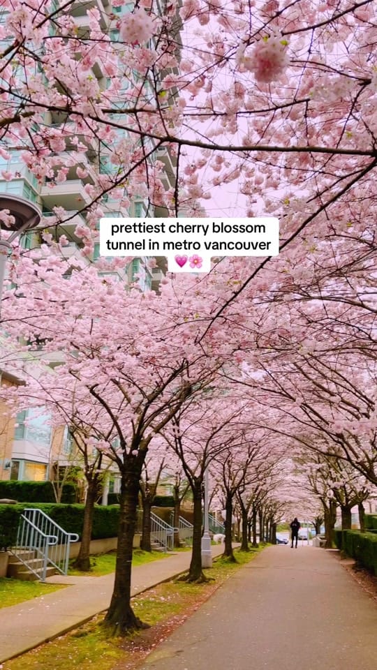 Post 4 by canadian travel gal | creator on TikTok (video)