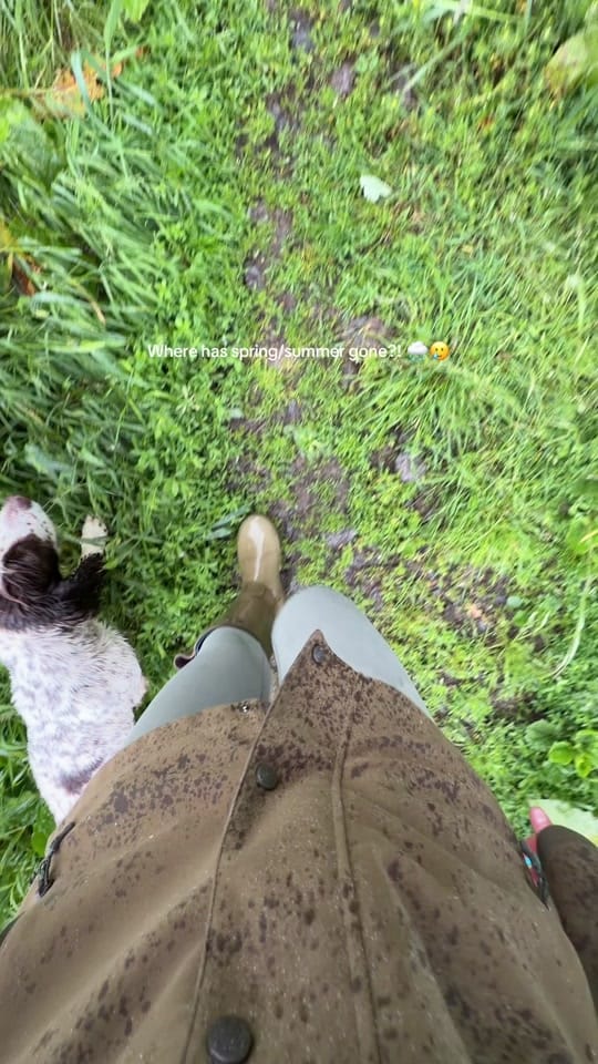 Post 3 by fenellaaqh on TikTok (video)