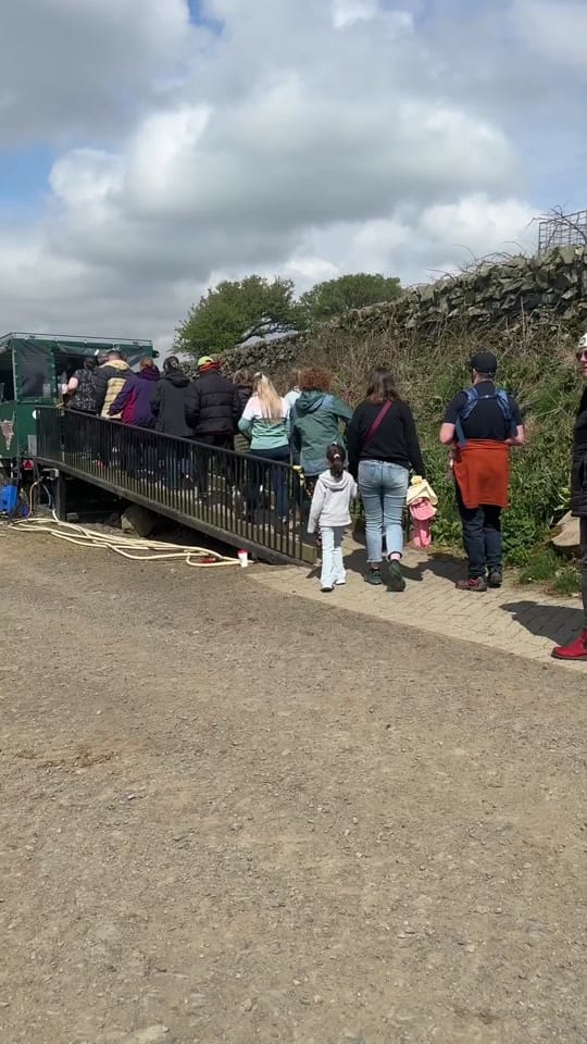 Post 2 by Kitchen Coos & Ewes on TikTok (video)