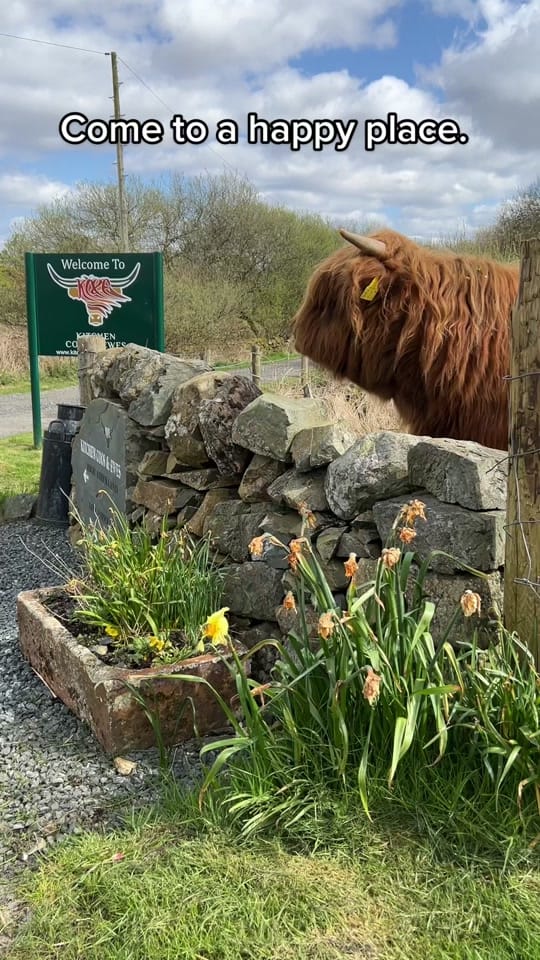 Post 10 by Kitchen Coos & Ewes on TikTok (video)