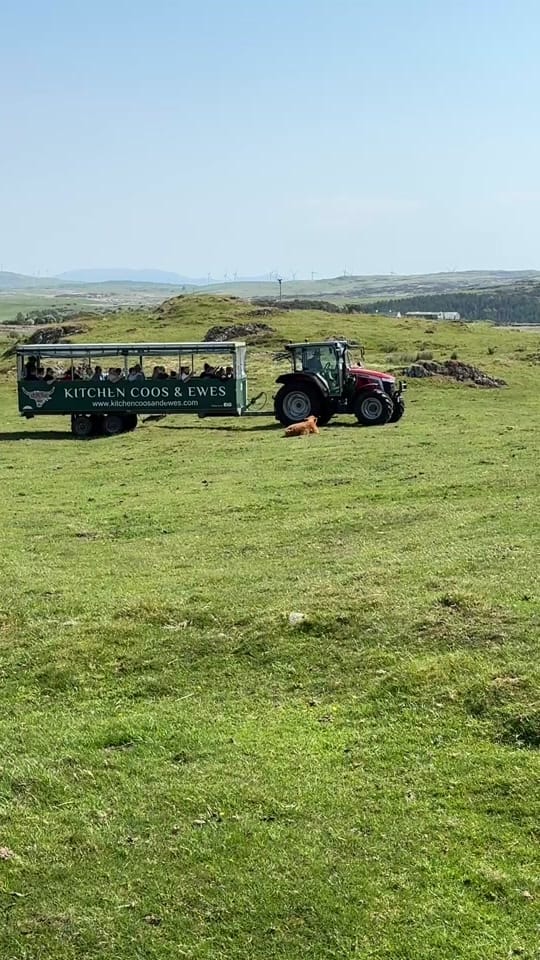 Post 1 by Kitchen Coos & Ewes on TikTok (video)
