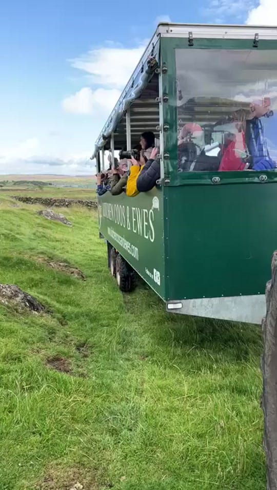 Post 9 by Kitchen Coos & Ewes on TikTok (video)