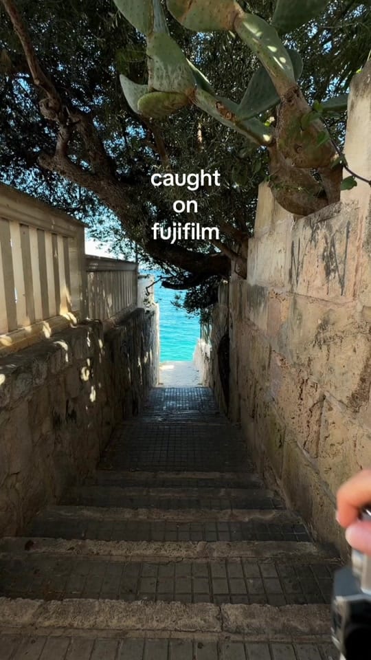 Post 6 by Liv on TikTok (video)