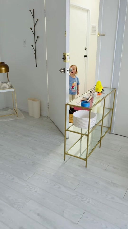 Post 1 by Venesa Besic on TikTok (video)
