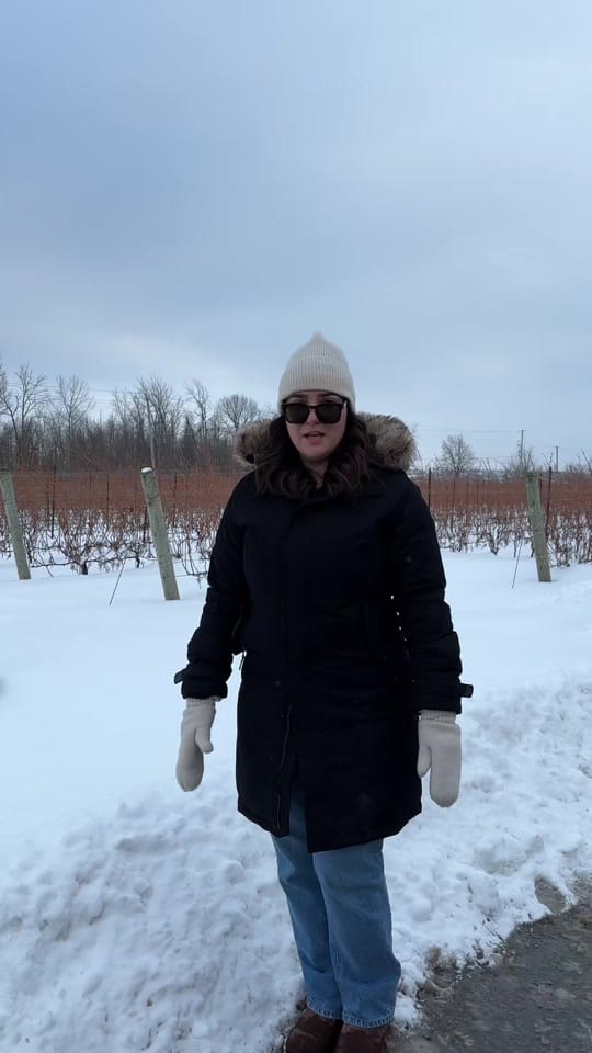 Post 6 by Jacqueline Petitjean on TikTok (video)