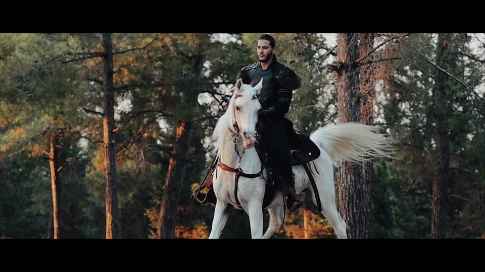 Post 10 by Ameer Dana أمير دعنا on TikTok (video)