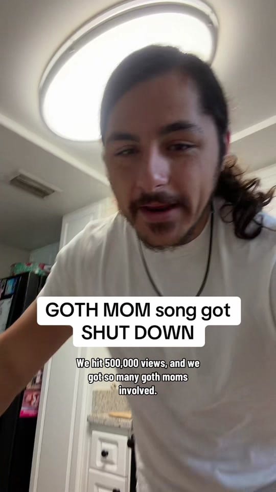 Post 7 by Phantom Limbs on TikTok (video)