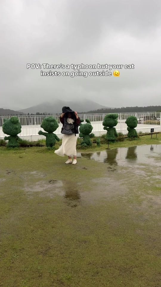 Post 1 by siberian_reinhardt on TikTok (video)