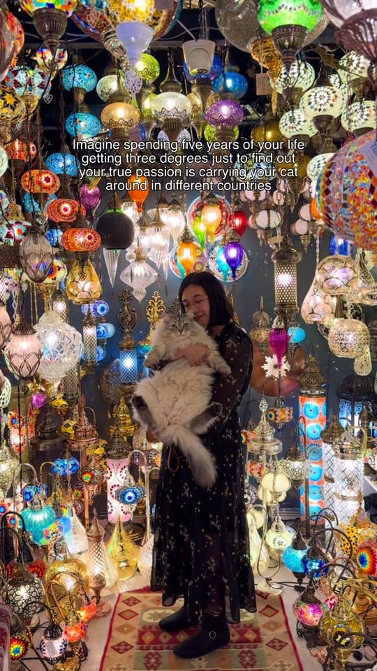 Post 4 by siberian_reinhardt on TikTok (video)