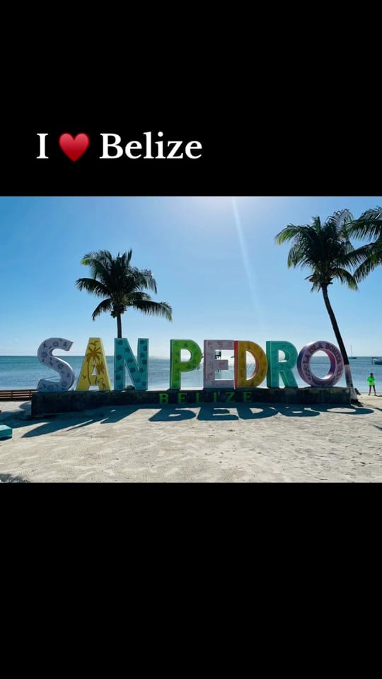 Post 8 by Dale on TikTok (video)