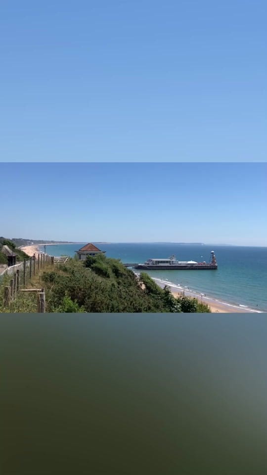 Post 9 by Alex Kovacs on TikTok (video)