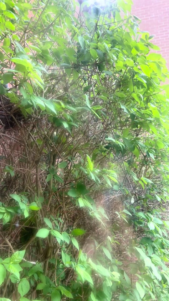 Post 4 by Alex Kovacs on TikTok (video)
