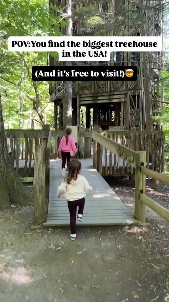 Post 2 by thedaydreamdiaries on TikTok (video)
