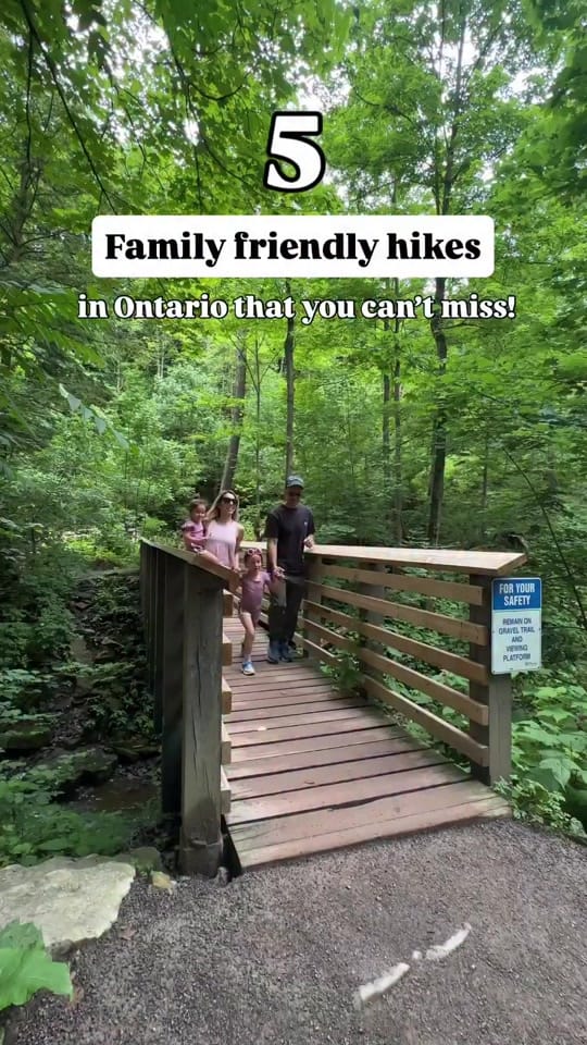 Post 1 by thedaydreamdiaries on TikTok (video)