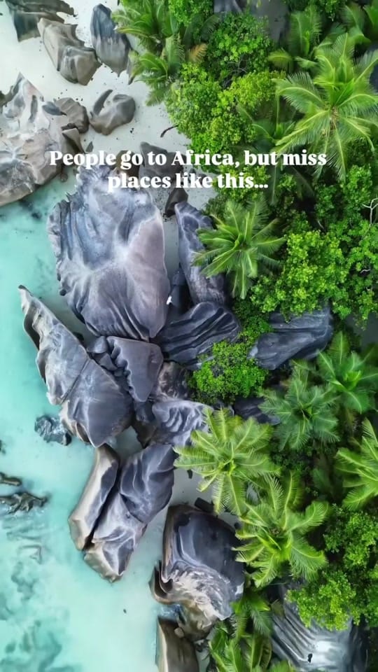Post 4 by nikacabras on TikTok (video)