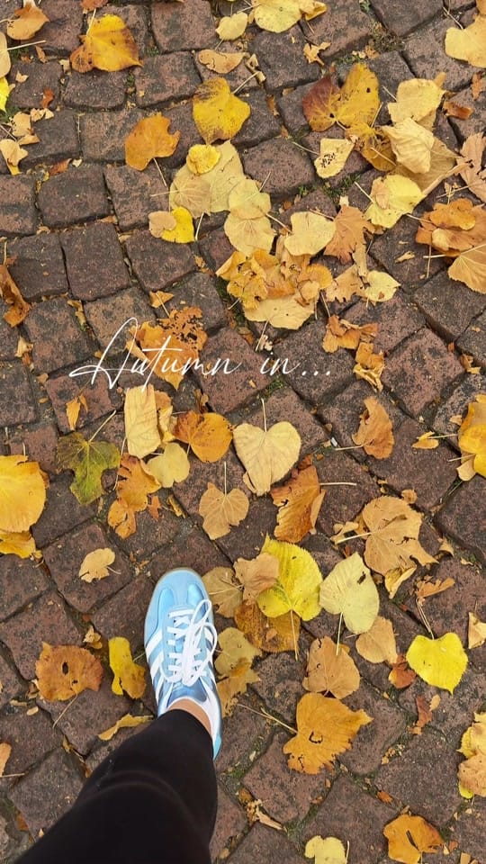 Post 6 by nikacabras on TikTok (video)