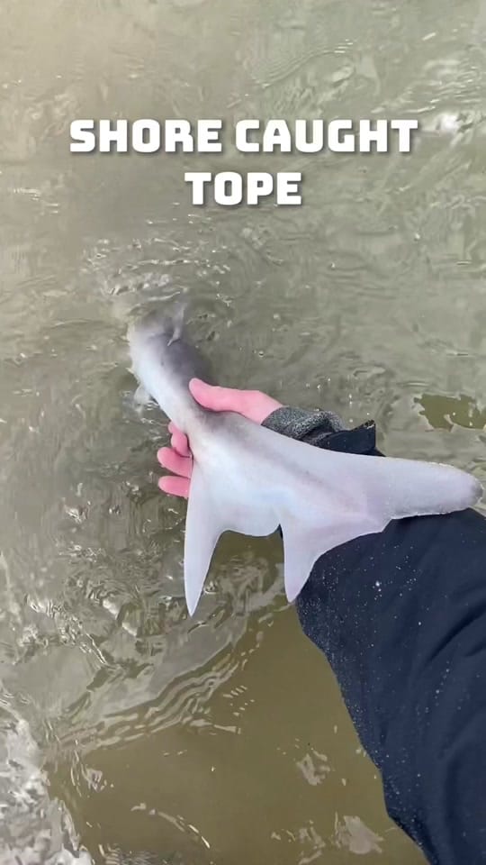 Post 2 by Northern Ireland Fishing on TikTok (video)