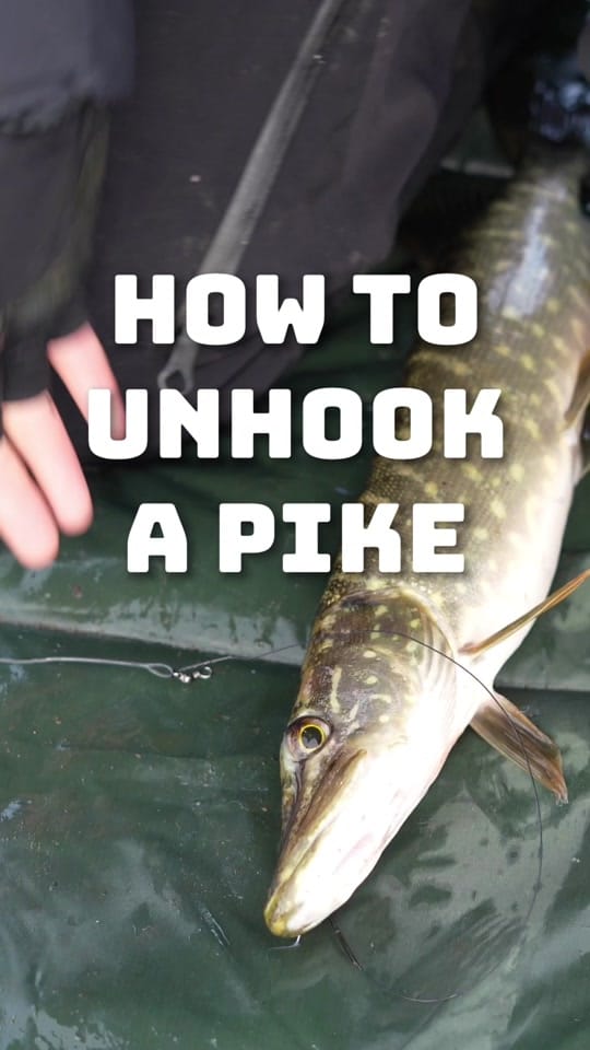 Post 4 by Northern Ireland Fishing on TikTok (video)